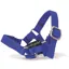 Crafty Pony Headcollar Blue